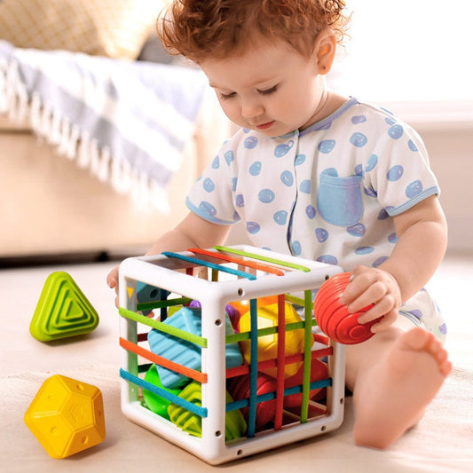 New Colorful Shape Blocks Sorting Game