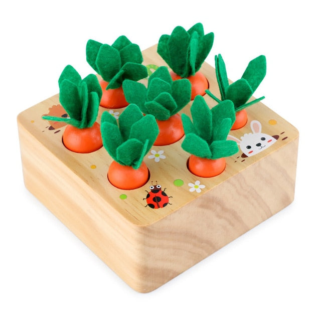 Montessori Toys for 1 YearOld Baby Pull Carrot Set